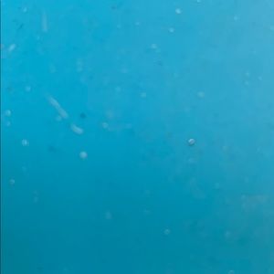 Meet your Posher, Umar